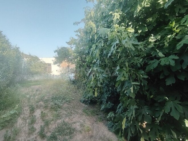 4 otaqlı həyət evi/bağ evi - Maştağa q. - 100 m² (17)