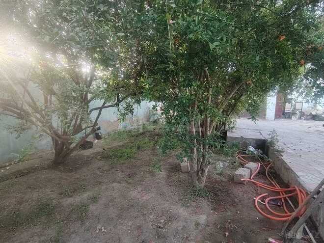 4 otaqlı həyət evi/bağ evi - Maştağa q. - 100 m² (12)