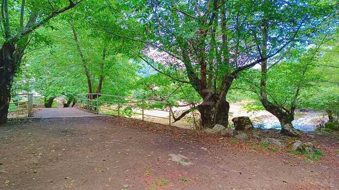 3 otaqlı həyət evi/bağ evi - Lerik - 120 m² (14)