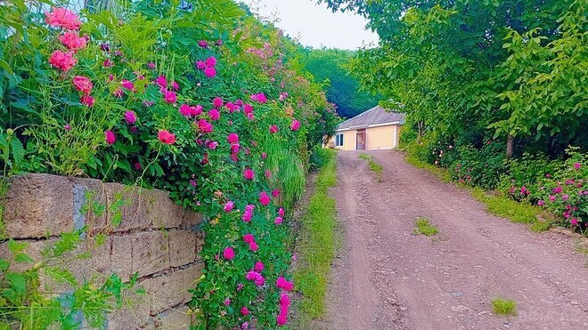3 otaqlı həyət evi/bağ evi - Lerik - 120 m² (7)