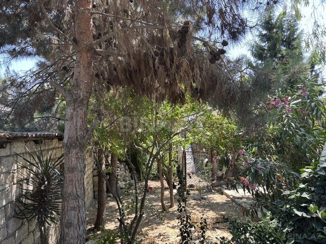 3 otaqlı həyət evi/bağ evi - Buzovna q. - 200 m² (1)