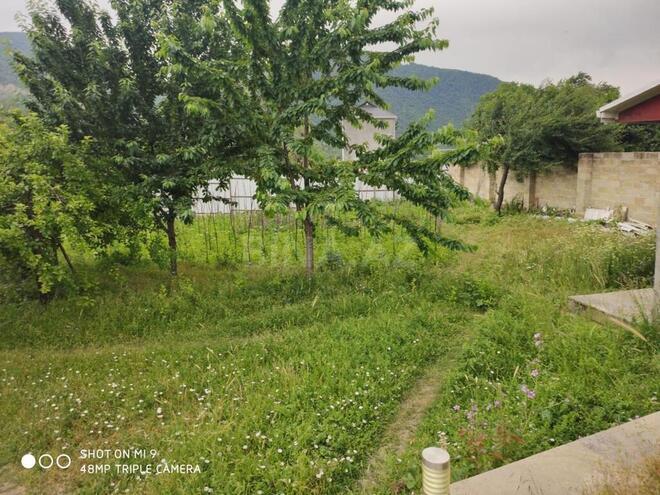 6 otaqlı həyət evi/bağ evi - İsmayıllı - 225 m² (4)