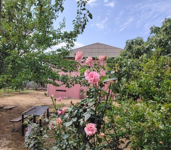 4 otaqlı həyət evi/bağ evi - Saray q. - 180 m² (1)