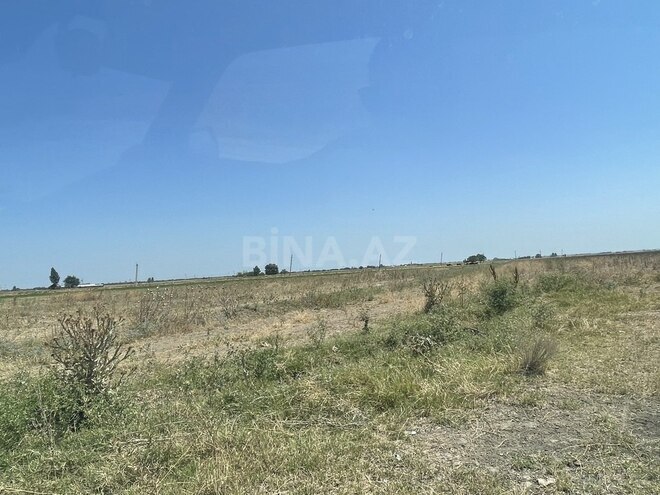 Участок - Агджабеди - 1500 сот (9)