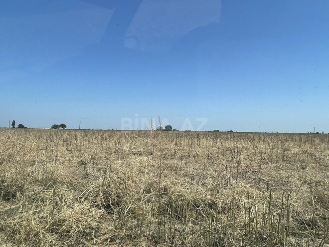 Участок - Агджабеди - 1500 сот (10)