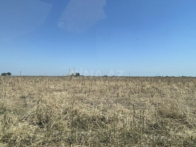 Участок - Агджабеди - 1500 сот (11)