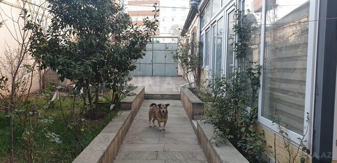 6 otaqlı həyət evi/bağ evi - Qaraçuxur q. - 220 m² (22)
