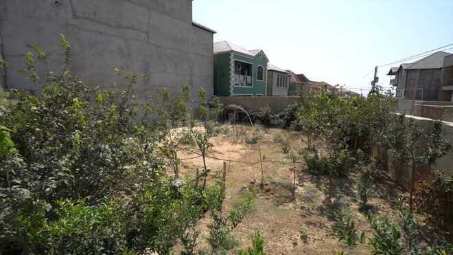 6 otaqlı həyət evi/bağ evi - Badamdar q. - 300 m² (26)