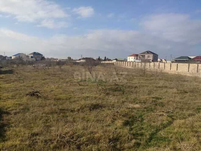 Участок - пос. Пиршаги - 28 сот (3)