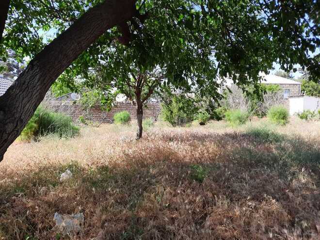 5 otaqlı həyət evi/bağ evi - Novxanı q. - 210 m² (9)