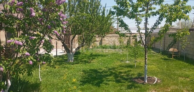 3 otaqlı həyət evi/bağ evi - Qusar - 75 m² (11)