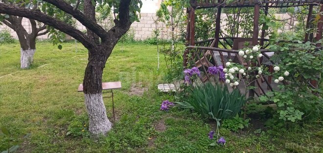3 otaqlı həyət evi/bağ evi - Qusar - 75 m² (12)