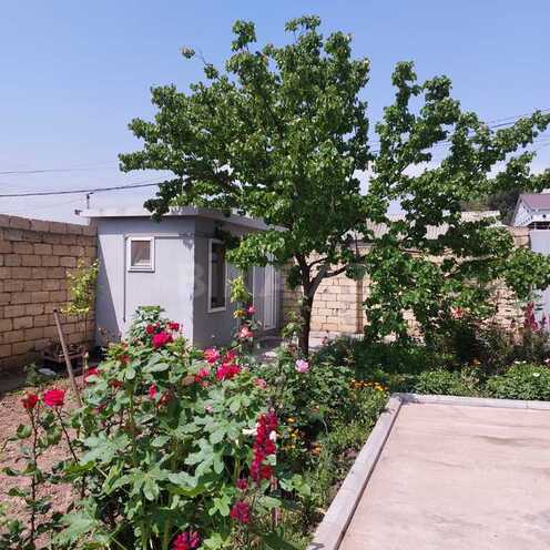 6 otaqlı həyət evi/bağ evi - Şirvan - 229 m² (3)