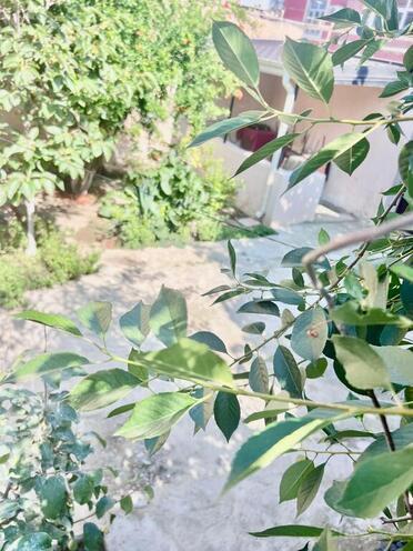 3 otaqlı həyət evi/bağ evi - Masazır q. - 82 m² (18)