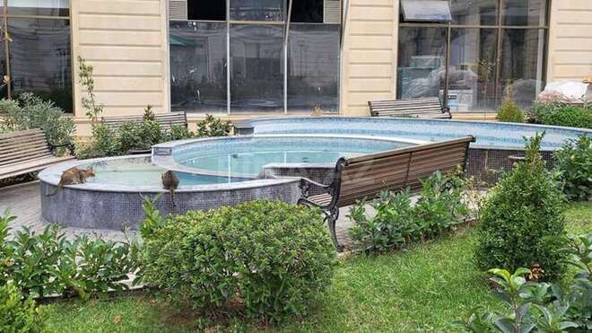4 otaqlı yeni tikili - Gənclik m. - 219 m² (17)