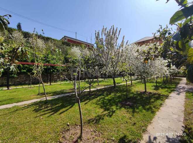 Torpaq - Azadlıq Prospekti m. - 20 sot (13)