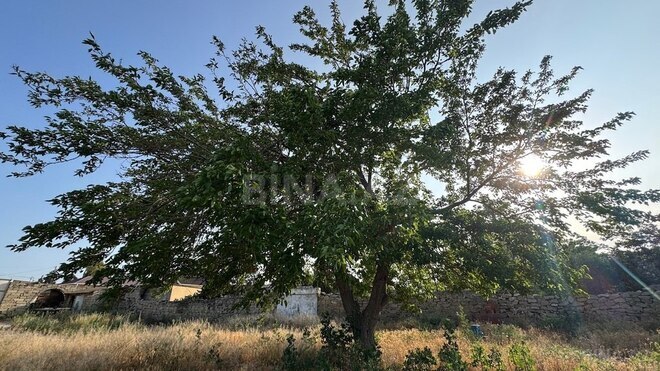 5 otaqlı həyət evi/bağ evi - Şüvəlan q. - 190 m² (13)