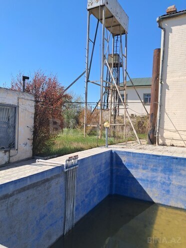4 otaqlı həyət evi/bağ evi - Albalılıq q. - 200 m² (22)
