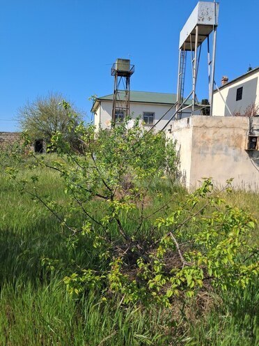 4 otaqlı həyət evi/bağ evi - Albalılıq q. - 200 m² (19)