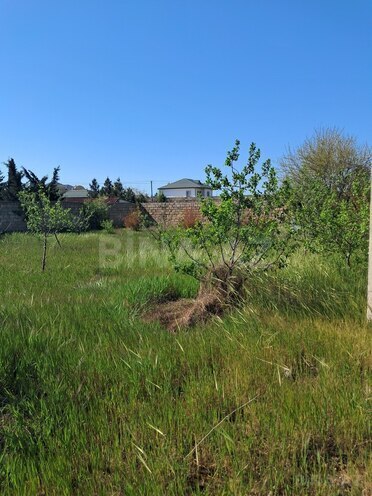 4 otaqlı həyət evi/bağ evi - Albalılıq q. - 200 m² (21)