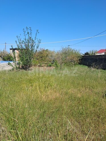 4 otaqlı həyət evi/bağ evi - Albalılıq q. - 200 m² (20)