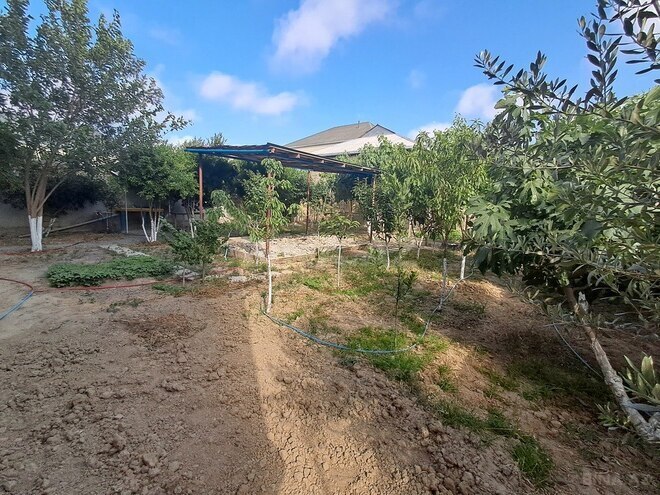 8 otaqlı həyət evi/bağ evi - Sumqayıt - 300 m² (10)