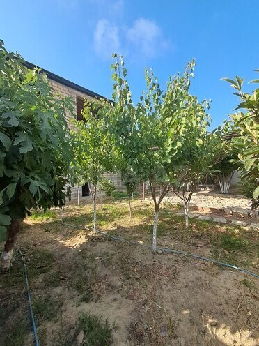 8 otaqlı həyət evi/bağ evi - Sumqayıt - 300 m² (9)