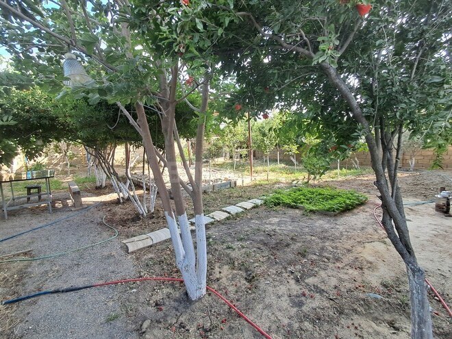 8 otaqlı həyət evi/bağ evi - Sumqayıt - 300 m² (12)
