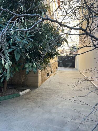 5 otaqlı həyət evi/bağ evi - Nəsimi m. - 480 m² (3)