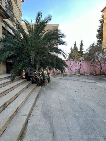 5 otaqlı həyət evi/bağ evi - Nəsimi m. - 480 m² (2)