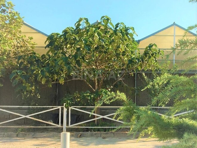 Obyekt - Türkan q. - 1600 m² (1)