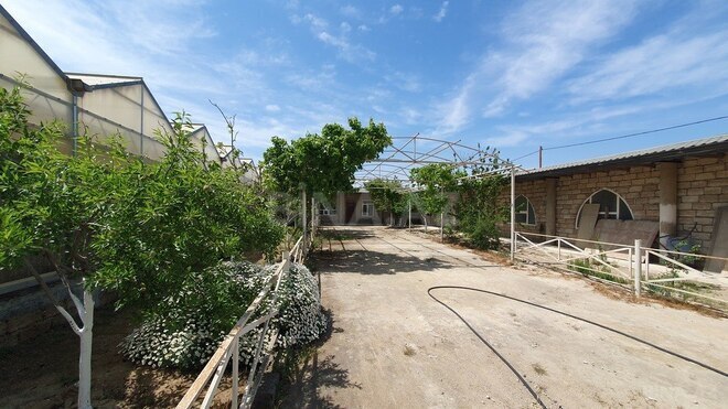Obyekt - Türkan q. - 1600 m² (16)