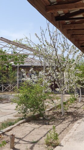 Obyekt - Türkan q. - 1600 m² (22)