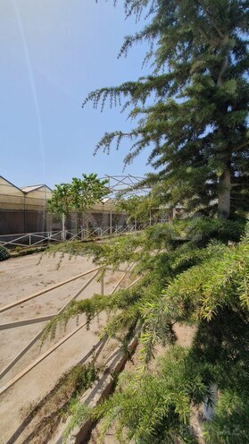Obyekt - Türkan q. - 1600 m² (23)