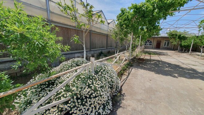 Obyekt - Türkan q. - 1600 m² (15)