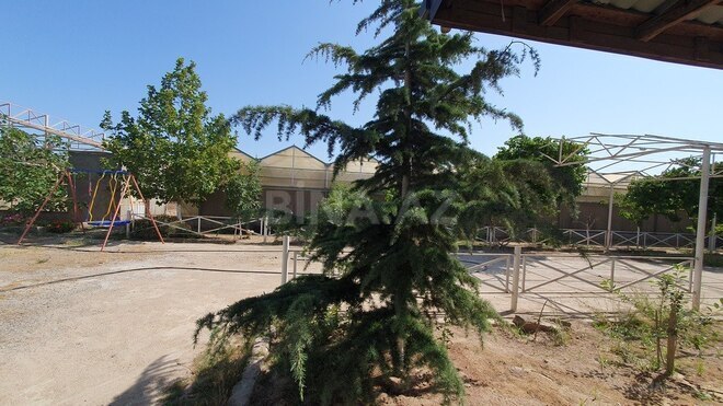Obyekt - Türkan q. - 1600 m² (11)