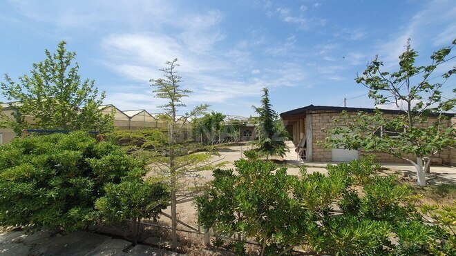 Obyekt - Türkan q. - 1600 m² (19)
