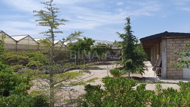Obyekt - Türkan q. - 1600 m² (20)