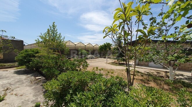 Obyekt - Türkan q. - 1600 m² (17)