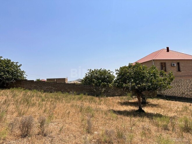 Torpaq - Sumqayıt - 6 sot (3)