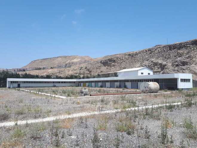 Torpaq - Şıxov q. - 67 sot (6)