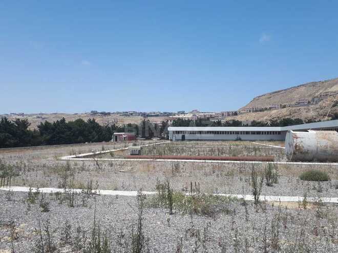 Torpaq - Şıxov q. - 67 sot (1)