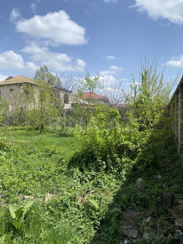 Həyət evi/Bağ evi - Qəbələ - 228.7 m² (6)