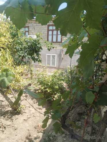 10 otaqlı həyət evi/bağ evi - Ələt q. - 600 m² (7)