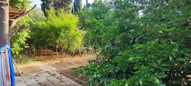 5-комн. дом/дача - пос. Нардаран - 200 м² (14)