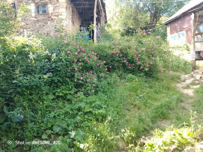 5-комн. дом/дача - Кедабек - 80 м² (15)