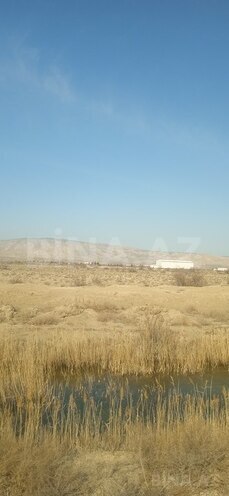 Участок - пос. Аляты - 728 сот (9)