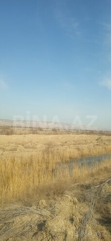 Участок - пос. Аляты - 728 сот (2)