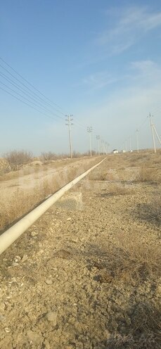 Участок - пос. Аляты - 728 сот (5)