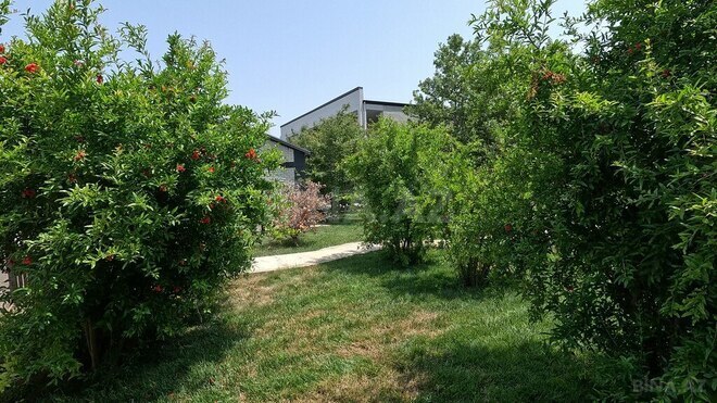 5 otaqlı həyət evi/bağ evi - Novxanı q. - 280 m² (13)